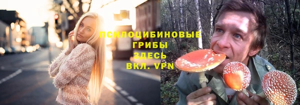 a pvp Михайлов